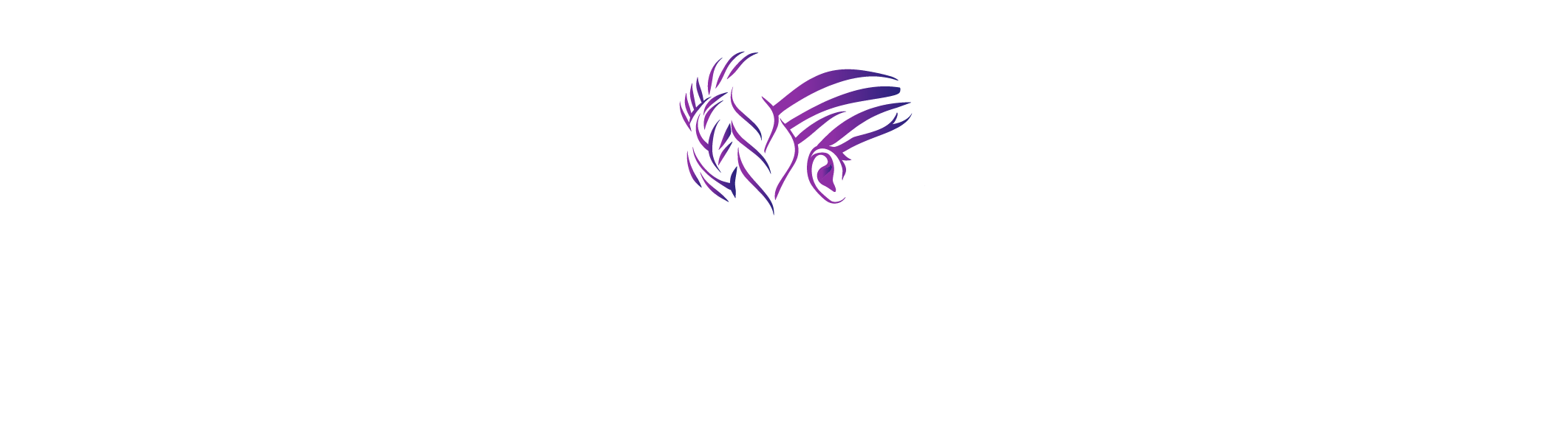 Karinns Braids